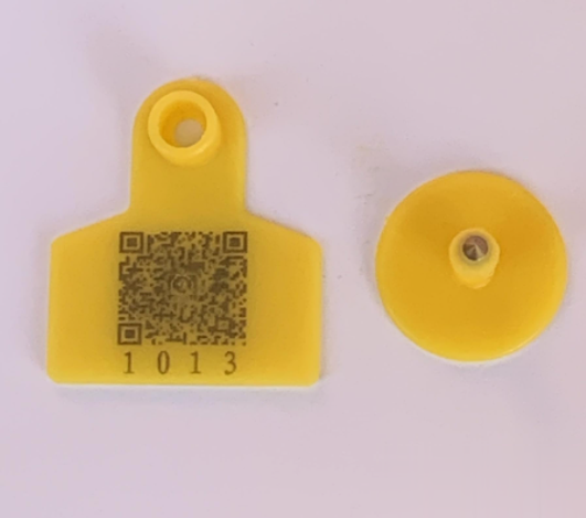 動物耳牌使用激光打標機的優勢(圖3)